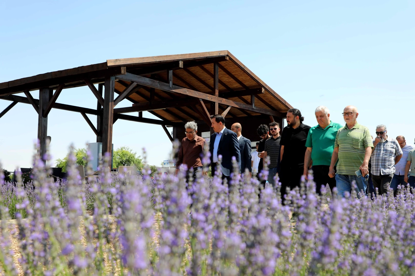 Konya Karatay Lavanta Bahçeleri