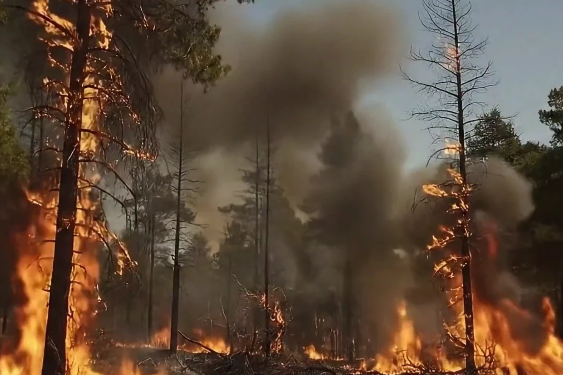 Bakan Yumaklı’dan orman yangını uyarısı: Yeşil Vatan