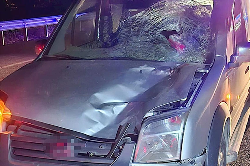 Elazığ-Bingöl karayolunda kaza: Bir kişi hayatını kaybetti