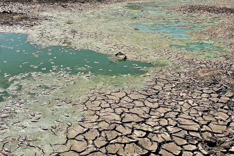 Gölet kurudu, balıklar telef oldu