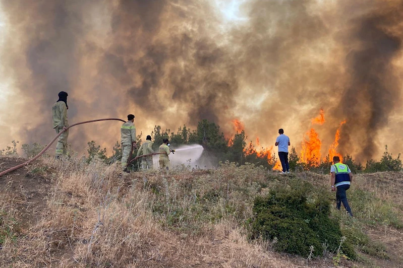 Sakarya, Bilecik ve Uşak