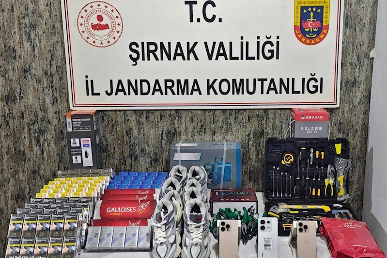 Şırnak’ta asayiş ve uyuşturucu operasyonları: 59 gözaltı