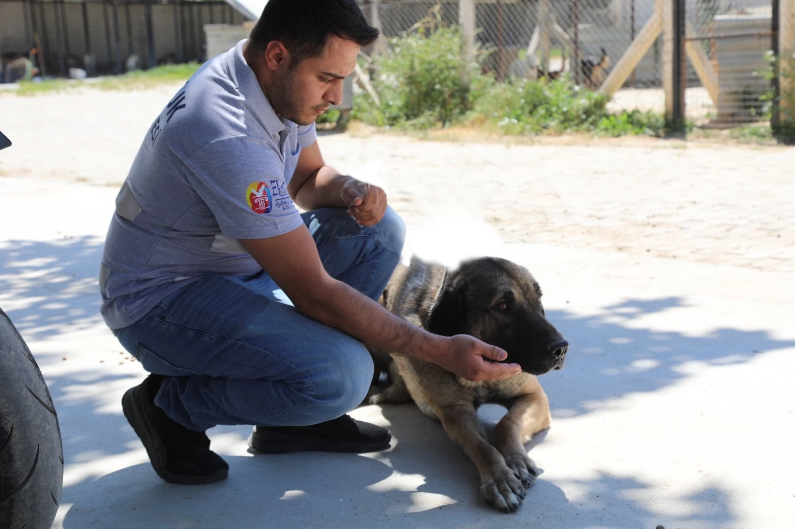 İzmir Efes Selçuk’ta 