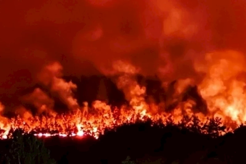 Alevlerin arasında kalan 11 orman işçisi hayatını kaybetti