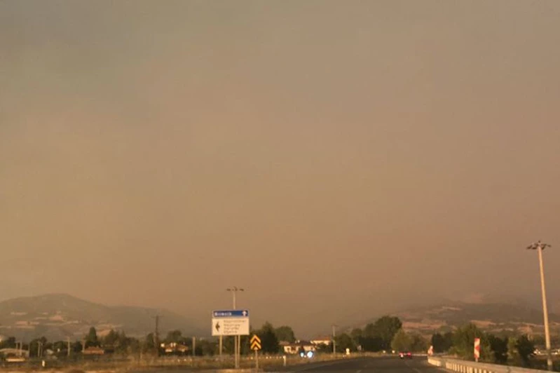 Üç ilde çıkan orman yangınları, Bursa’yı duman ve kül altında bıraktı