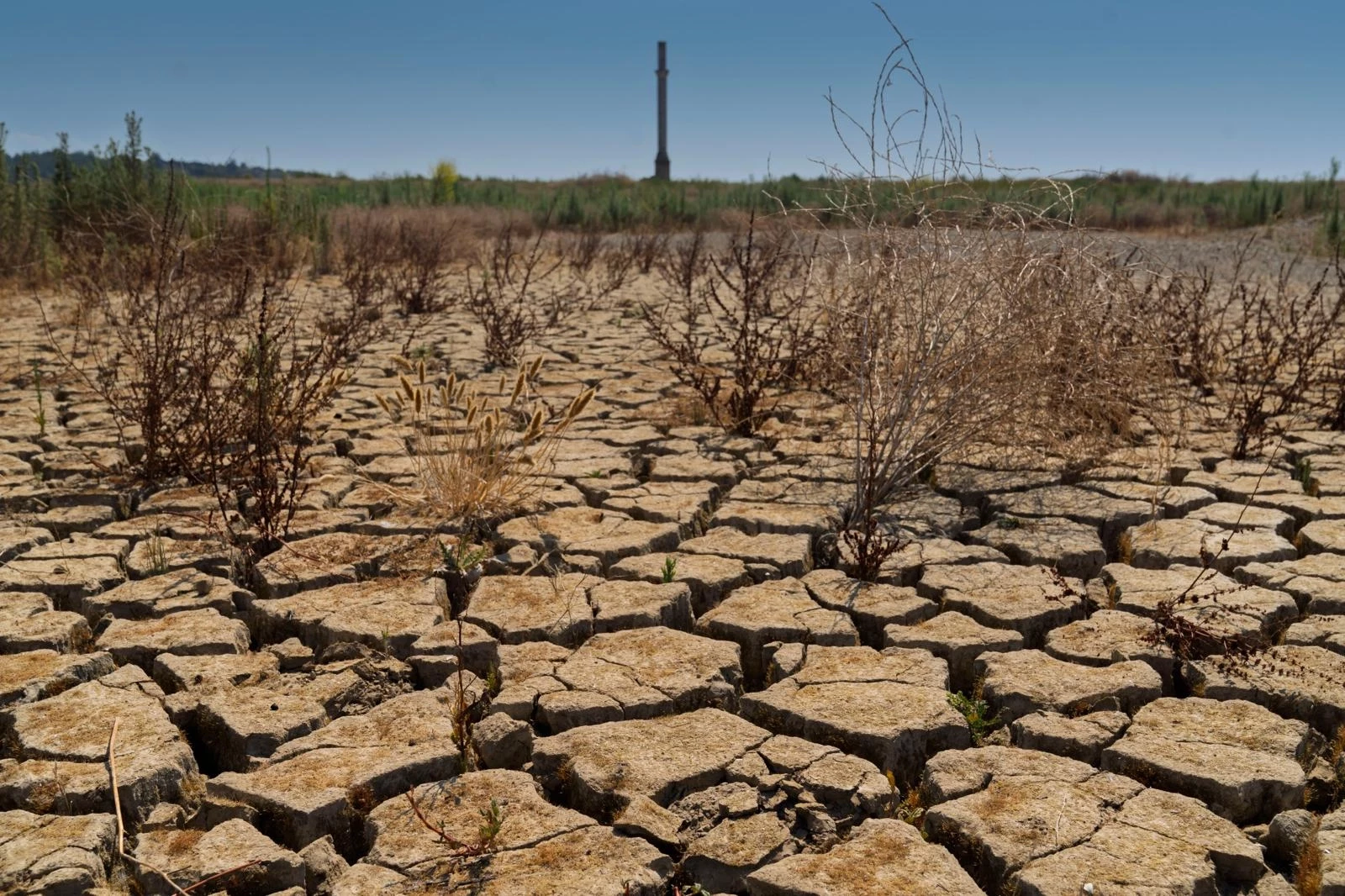 İZSU vatandaşları su tasarrufuna davet ediyor
