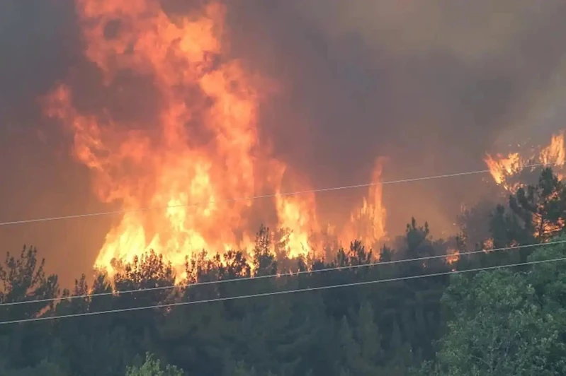 Orman yangınlarıyla ilgili olarak gözaltına alınan 3 kişi tutuklandı