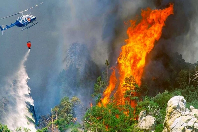 Provokatif yangın paylaşımlarına soruşturma: 13 kişiye işlem başlatıldı