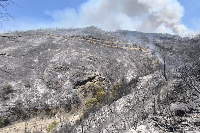 Bursa’daki orman yangınlarında FETÖ izi: 1 gözaltı