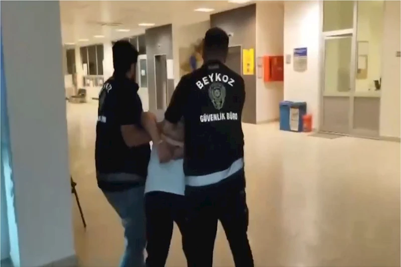 Beykoz’daki orman yangınının şüphelisi tutuklandı