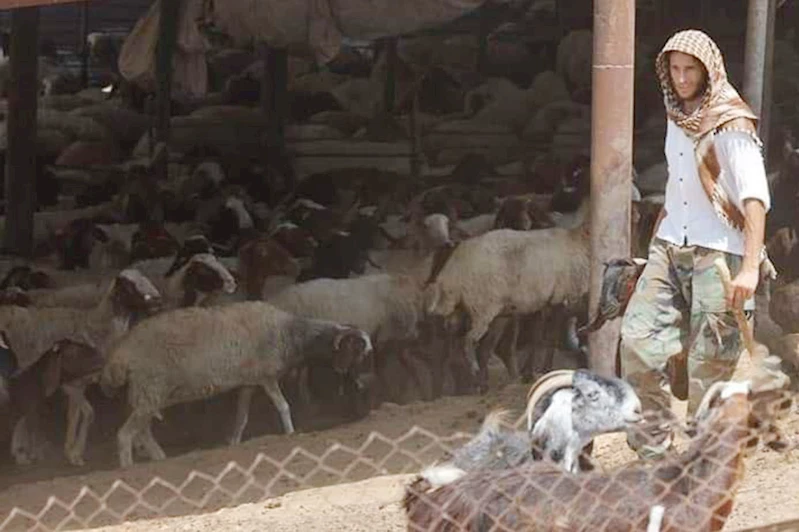 Siyonist işgalciler, A