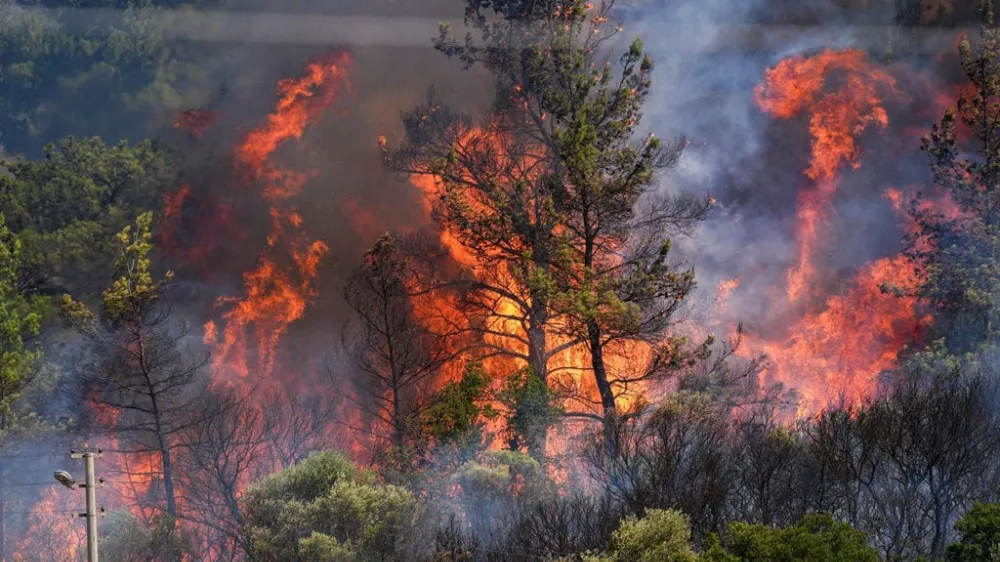 Ödemiş Tosunlar Mevkiinde Meydana Gelen Orman Yangınına İlişkin Bilgilendirme 