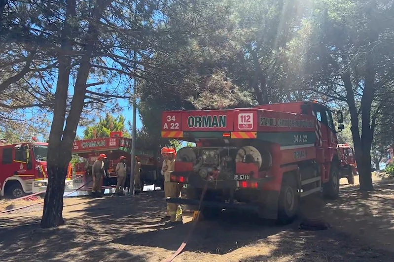 Sultangazi Kent Ormanı