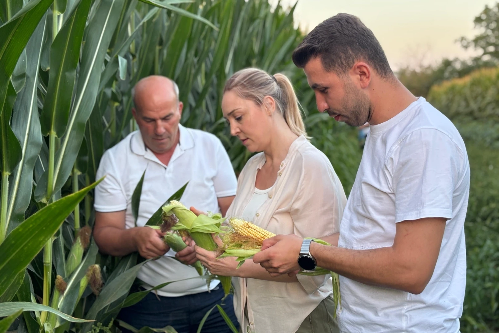 CHP Edirne İl Başkanı Taybıllı’dan çiftçi krizi uyarısı