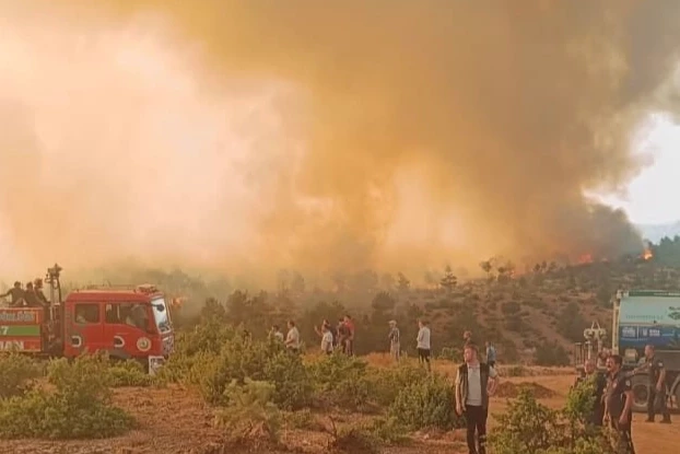 Orman yangınlarında 168 şüpheliden 39