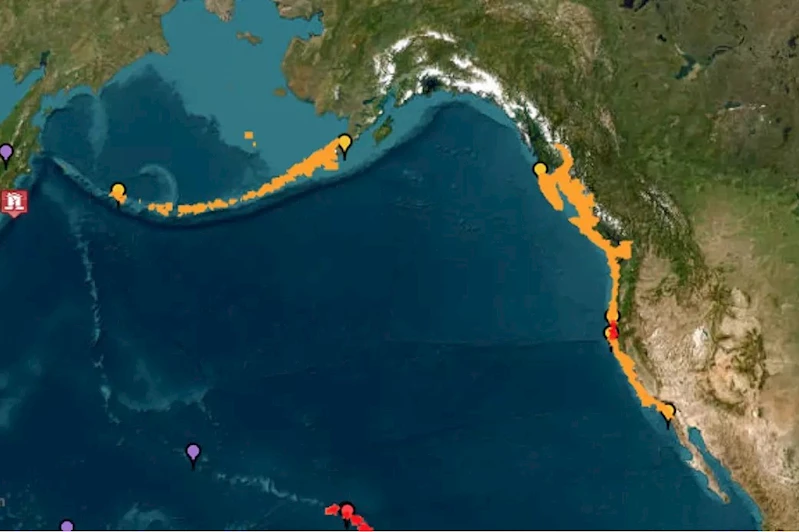 Tsunami Kaliforniya kıyılarına ulaştı