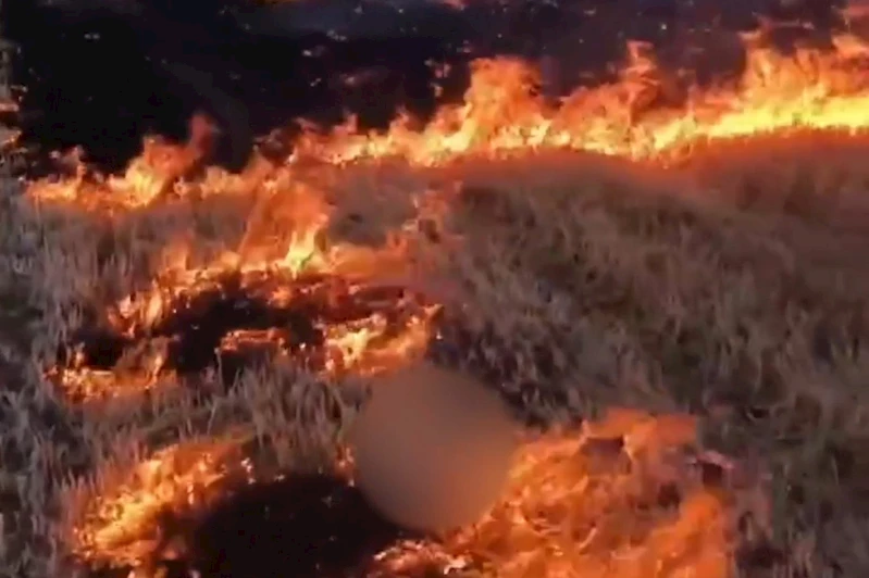 Anız yaktığını sosyal medyada paylaşan çoçuk gözaltına alındı