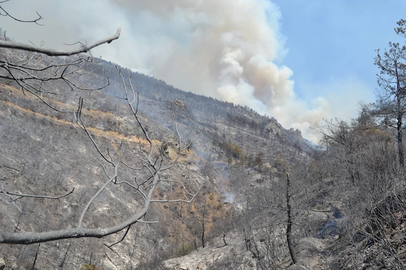 Duman ve kül tabakası sağlık sorunlarına neden olabilir