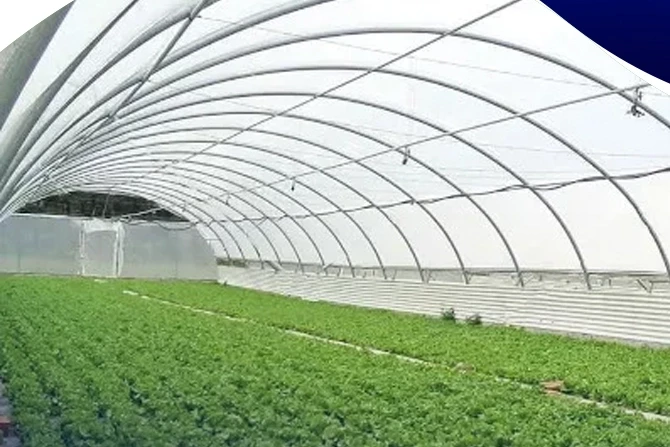 KOP destekli seracılık projesi Selçuklu’da hayata geçiyor