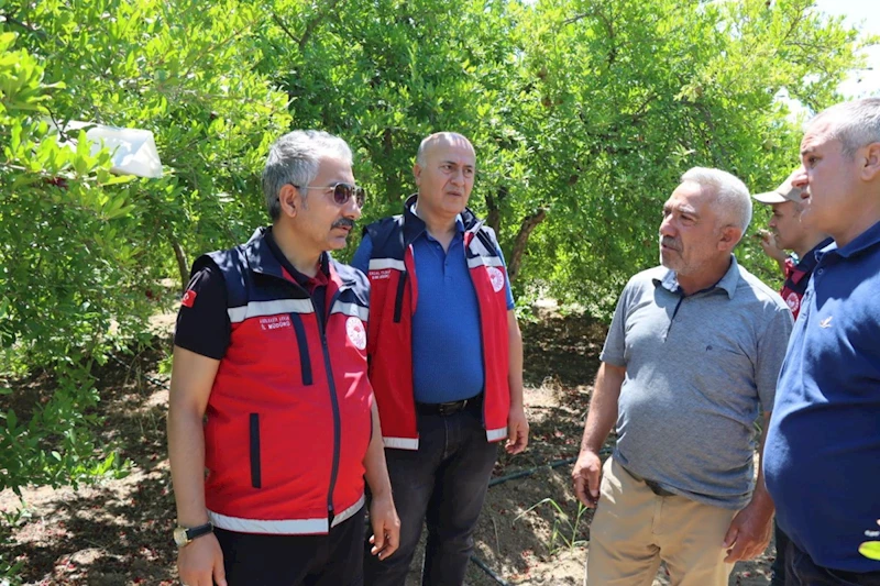 Akkan’dan sertifikalı fidan üreticilerine ziyaret 