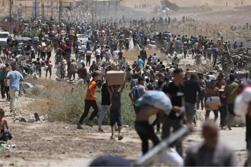 Dünya Gıda Programı