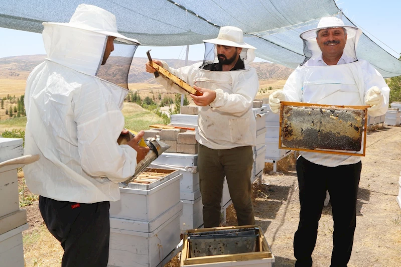 Siirt Üniversitesi bünyesinde bereketli bal hasadı gerçekleştirildi