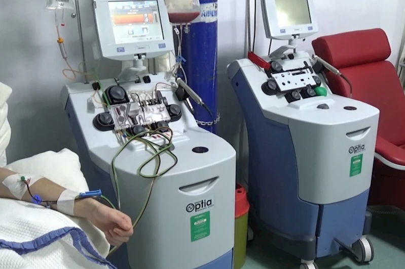 Bursa kök hücre toplamada Türkiye ikincisi oldu