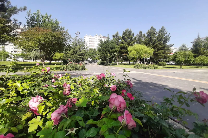 Ülke genelinde sıcaklık mevsim normallerinin üzerinde seyredecek