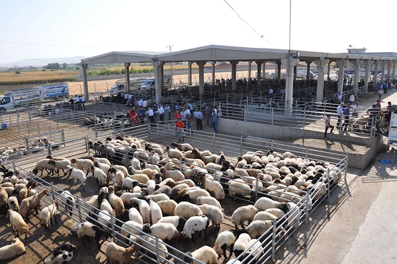 Tarım ve Orman Bakanlığından 