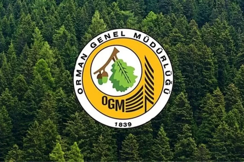 OGM’den hava araçları ve yanan orman alanlarıyla ilgili açıklama