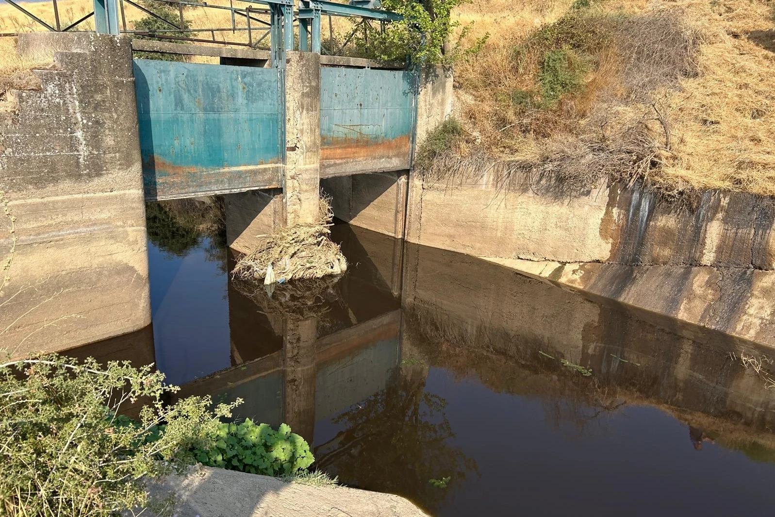 Zabıta affetmedi, doğayı kirletene kesti cezayı