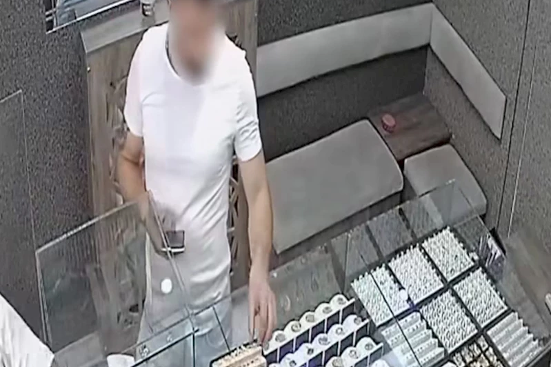 Bingöl’de hırsızlık şüphelisi tutuklandı