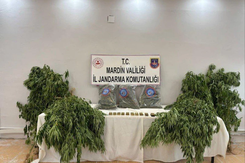 Mardin’de uyuşturucu operasyonunda bir şahıs tutuklandı 