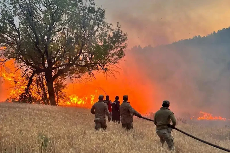 Orman yangınına giden arazöz kaza yaptı: Bir orman işçisi hayatını kaybetti