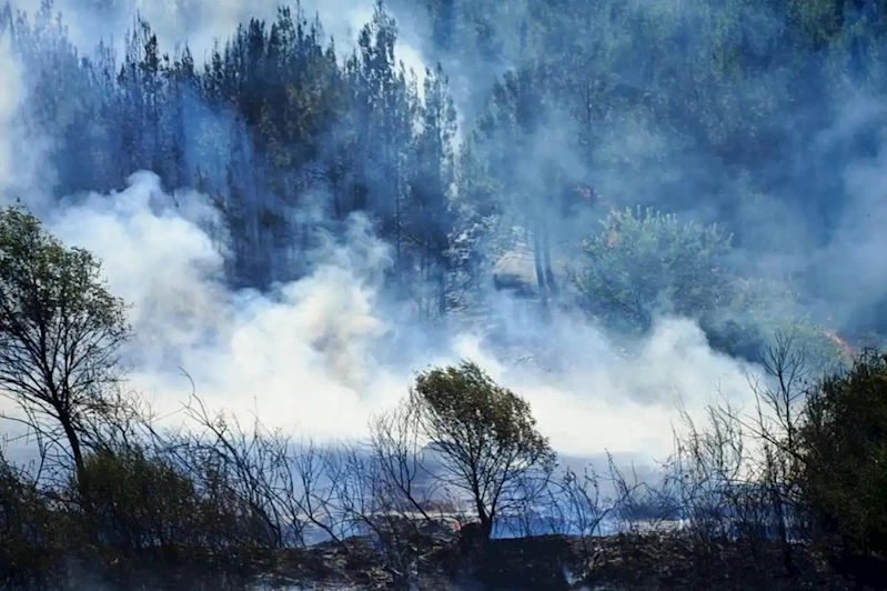 Adana Kozan’da orman yangını kontrol altına alındı