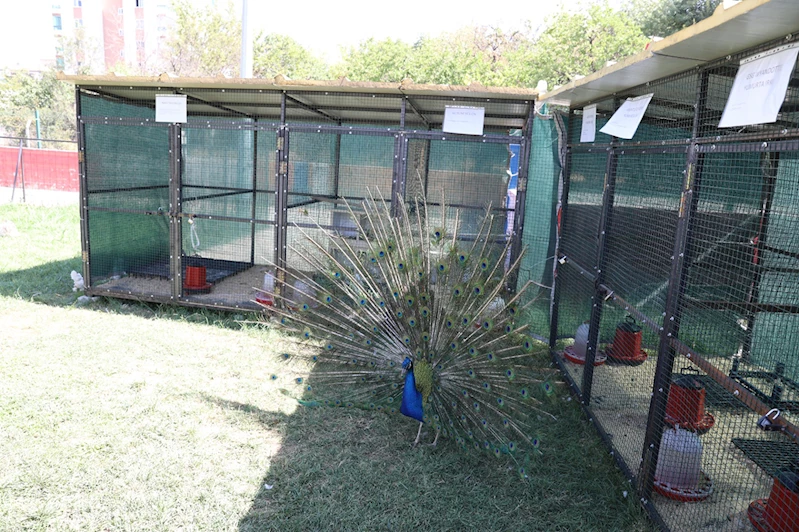 Battalgazi Engelsiz Yaşam Merkezi