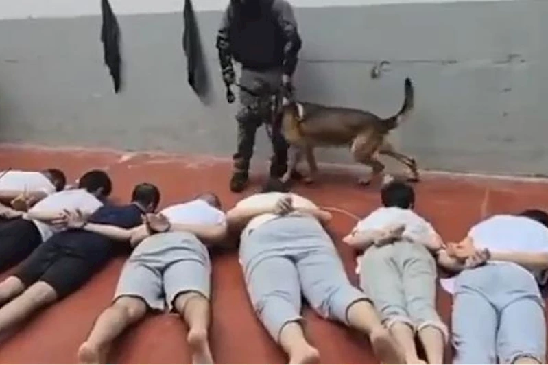 Filistin Esirler Kulübü: BM