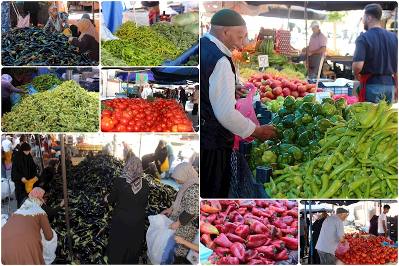 Aşırı sıcaklar kurutmalık sezonunu da etkiledi