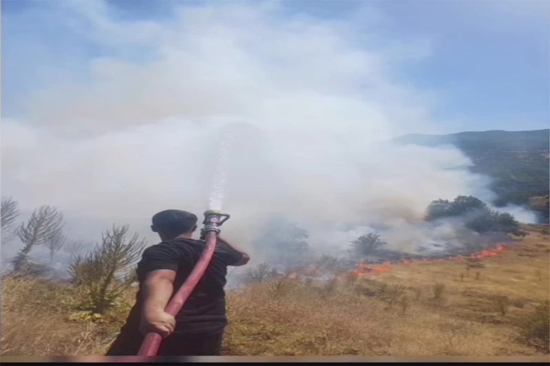 Bingöl’de çıkan kırsal alan yangını kontrol altına alındı