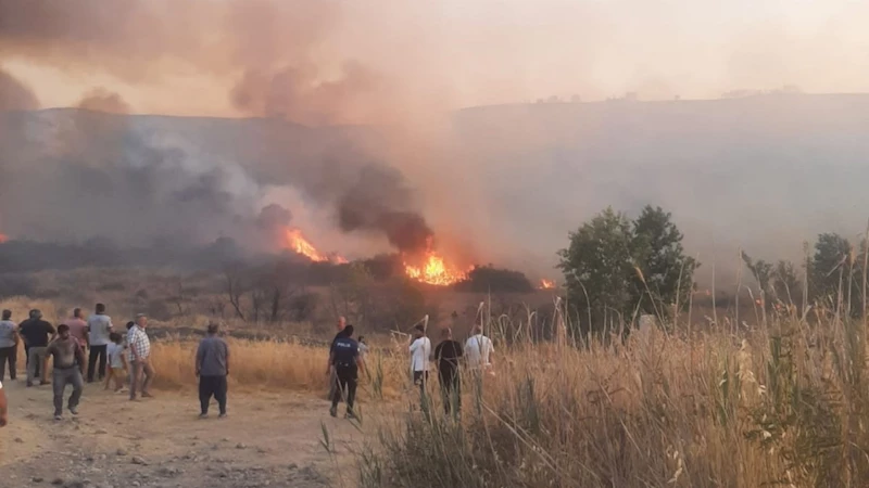 Adıyaman’da Anız Yangını Bahçelere Sıçradı: Havadan ve Karadan Müdahale Edildi  - Videolu Haber