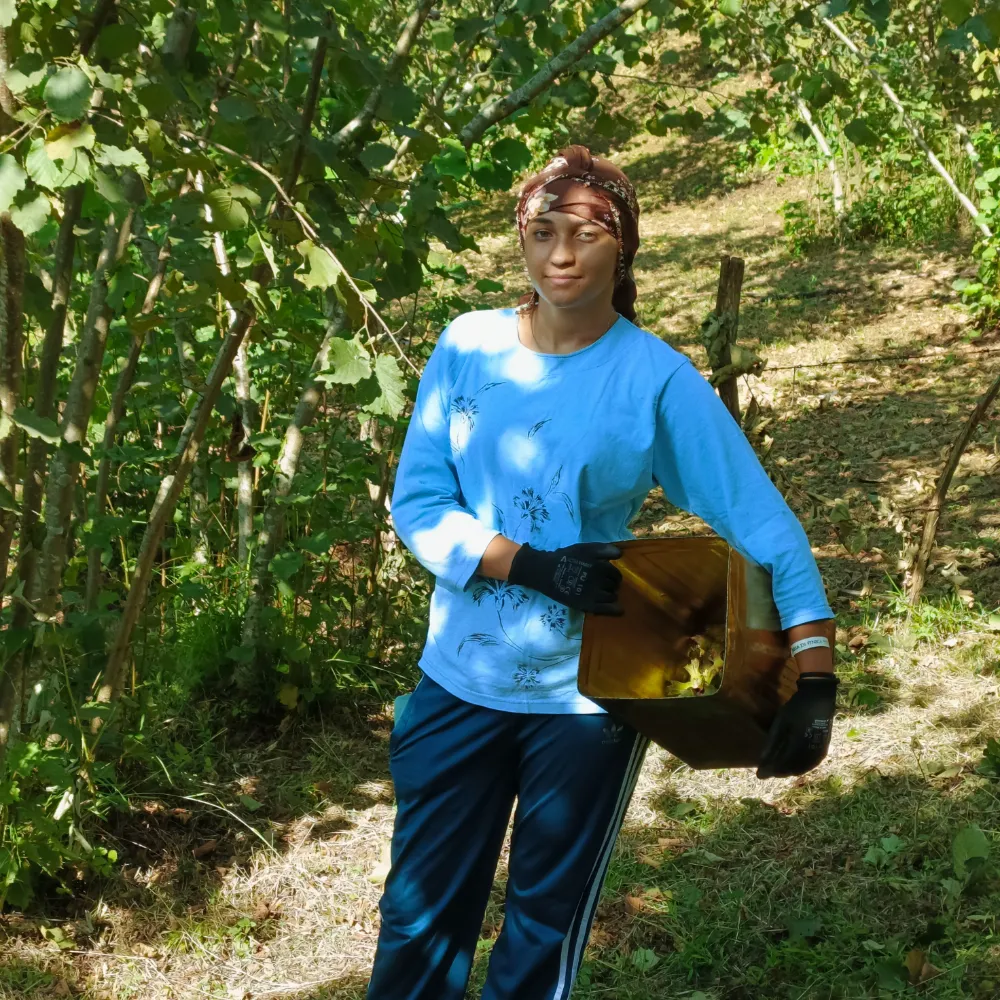 Altın Kabuk, Fakir Üretici