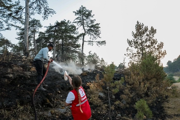 Türk Kızılayı orman yangınlarıyla mücadelede ön safta