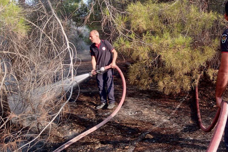 Şanlıurfa’da ormanlık alanda çıkan yangın söndürüldü