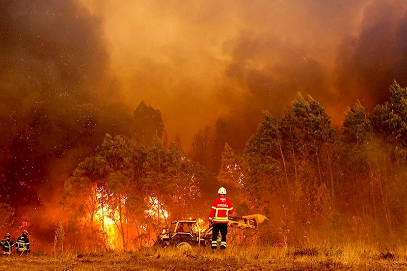 Portekiz, tarihinin en büyük orman yangınlarıyla mücadele ediyor