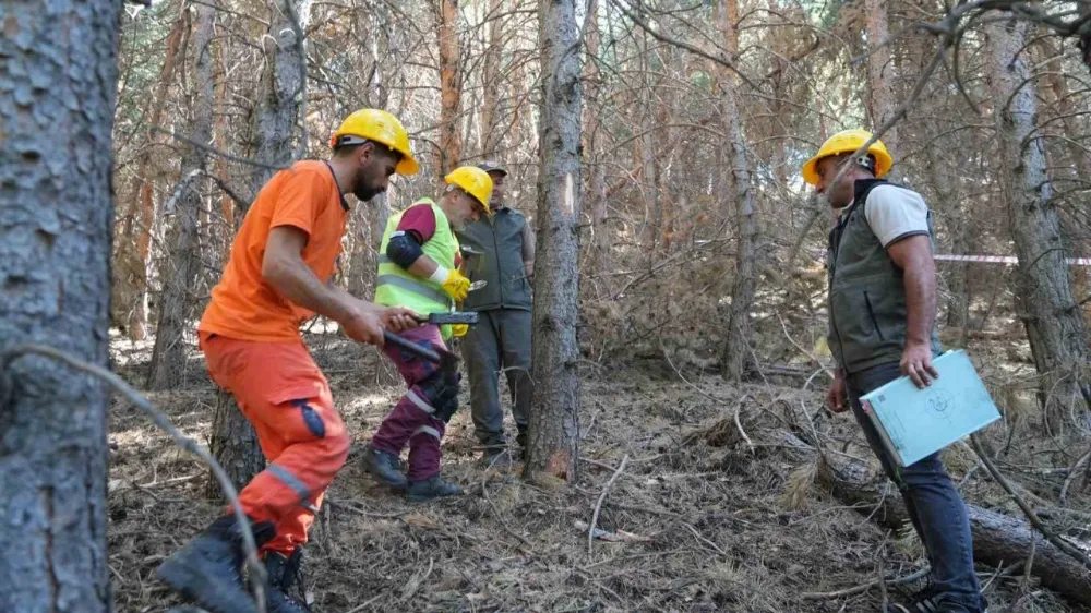 Erzurum’da Orman Bölge Müdürlüğü Yangın Önlemlerini Artırdı