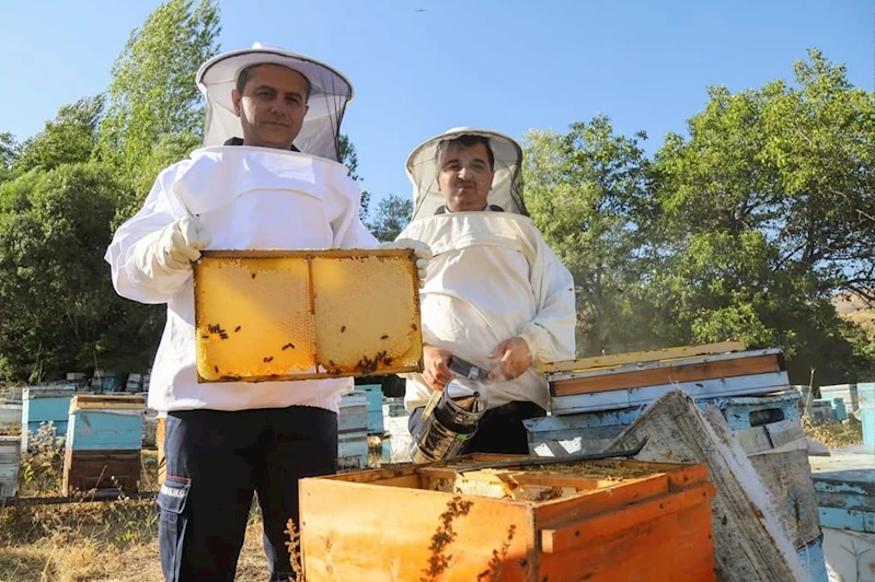 Bingöl İl Tarım ve Orman Müdürü Aktay Kiğı’da arıcıları ziyaret etti