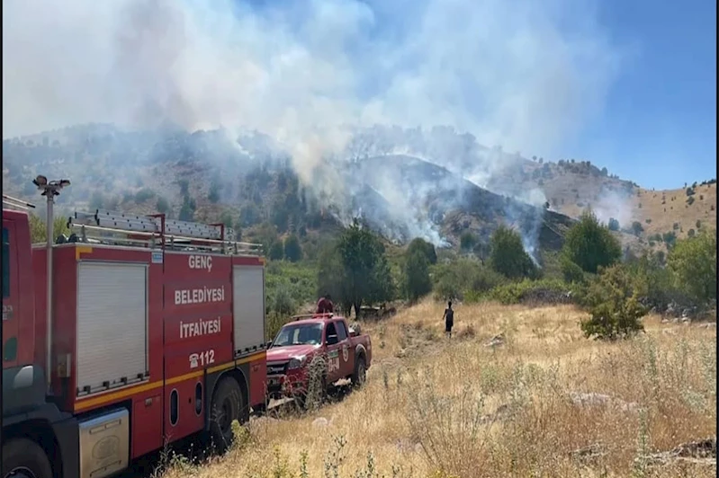 Genç’te korkutan yangın