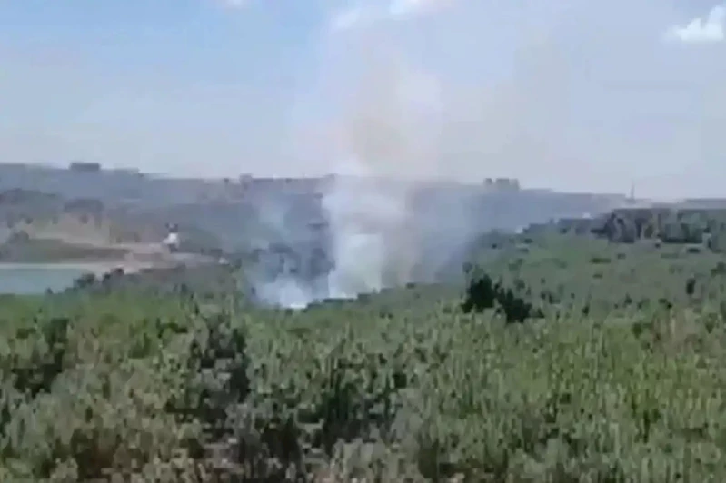 İstanbul’da orman yangını