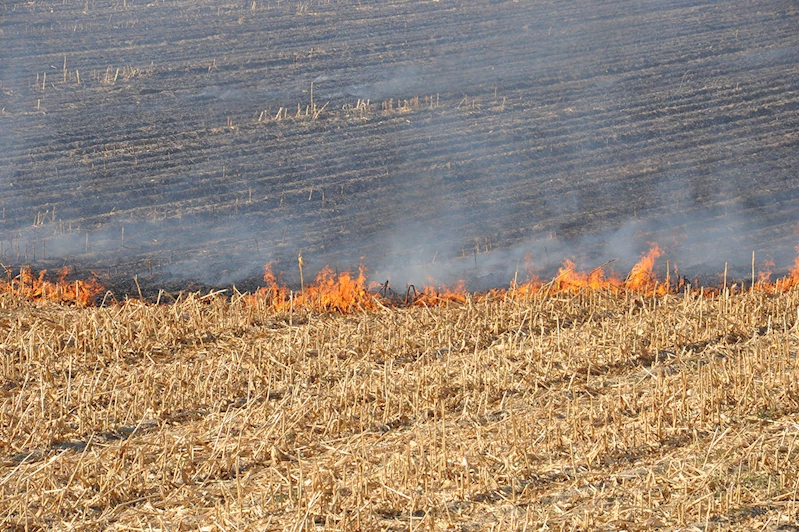 Batman İtfaiyesinden çiftçilere uyarı: Anız yakmak toprağa ihanettir