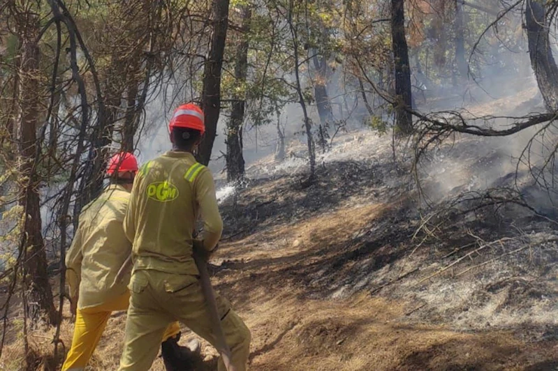 Feke’deki orman yangını kontrol altına alındı